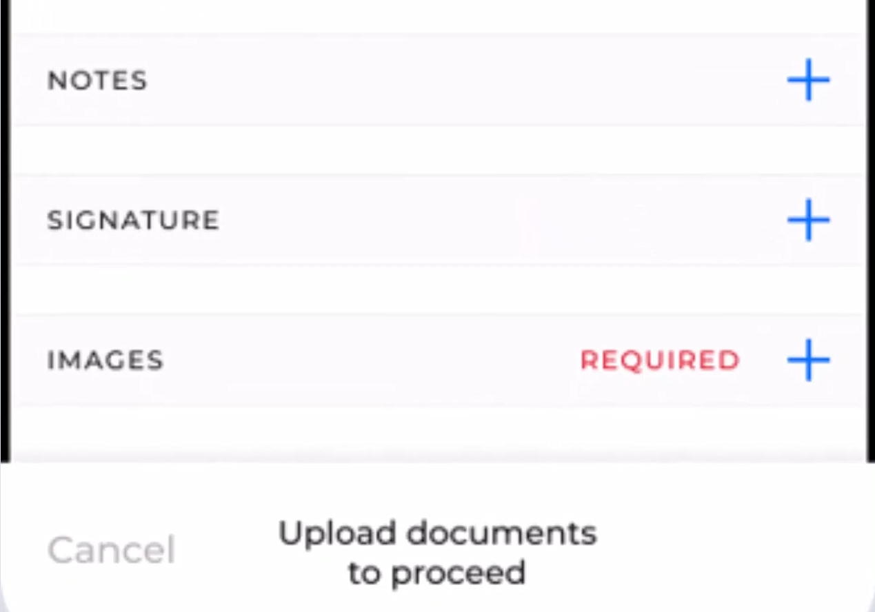 Documentation fields on the delivery screen